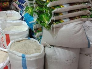 Pedagang Jual Beras Premium Rp 15.000/Kg