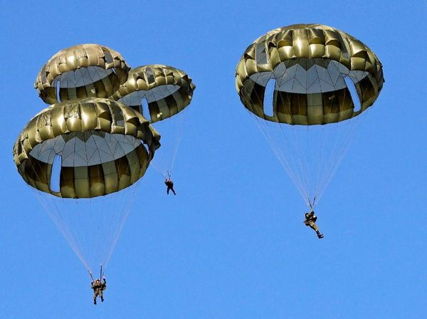 Foto: Melihat Latihan Awal Tahun Tentara Jepang di Chiba