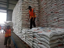 Data Beras Salah Sejak 1997, BPS: Kita Juga Ikut Kontribusi