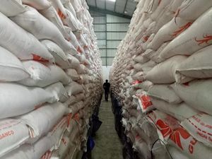 35.000 Agen Bank Pelat Merah Jual Beras 5 Kg Sesuai HET 35.000 Agen Bank Pelat Merah Jual Beras 5 Kg Sesuai HET