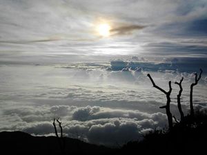 Potret pendakian ke Gunung Slamet