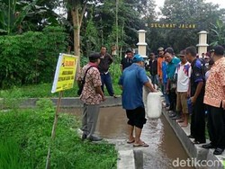 Warga Jember Tebar Puluhan Ribu Benih Ikan ke Sungai