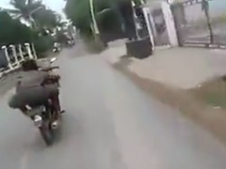 Banyak Gaya, Pengendara Ini Cium Penjual Sayur