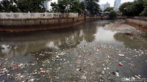Sampah di Kali Krukut Benhil Bikin Miris