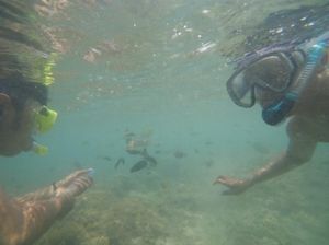 Oh Lombok, Kenapa Lautmu Begitu Indah?
