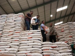 Ombudsman ke Pemerintah: Hentikan Membuat Opini Surplus Beras