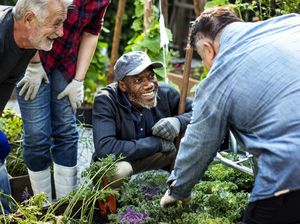 Studi Sebut Berkebun Bisa Bikin Pria Lanjut Usia Lebih Sehat