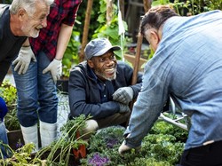 Studi Sebut Berkebun Bisa Bikin Pria Lanjut Usia Lebih Sehat