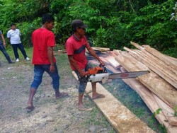 2 Kubik Kayu Pembalakan Liar di Aceh Dimusnahkan, Pelaku Diamankan