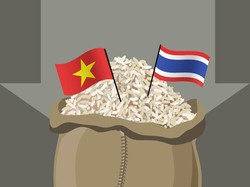 Ini Daftar Pelabuhan yang Bakal Dilabuhi Kapal Impor Beras