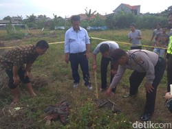 Berniat Cari Ikan, Warga Tangerang Temukan Kerangka Manusia di Sawah