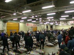 Video Tsukiji Market, Pasar Ikan di Tokyo yang Dicontoh Sandi