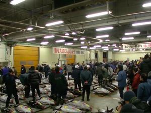 Video Tsukiji Market, Pasar Ikan di Tokyo yang Dicontoh Sandi Video Tsukiji Market, Pasar Ikan di Tokyo yang Dicontoh Sandi