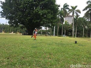 Persepsi Tentang Rumput