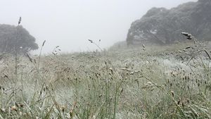 Foto: Peristiwa Langka! Salju Turun Saat Musim Panas di Australia
