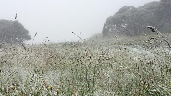 Foto: Peristiwa Langka! Salju Turun Saat Musim Panas di Australia