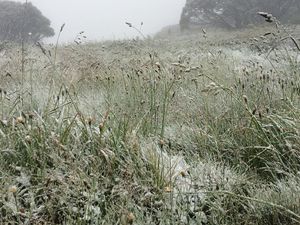 Foto: Peristiwa Langka! Salju Turun Saat Musim Panas di Australia