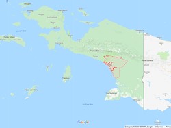 Pemprov Papua Kaget 61 Anak Asmat Meninggal karena Gizi Buruk