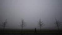 Foto: Kabut Tebal Seperti di Film Horor