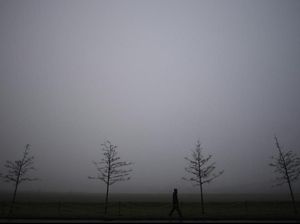 Foto: Kabut Tebal Seperti di Film Horor Foto: Kabut Tebal Seperti di Film Horor