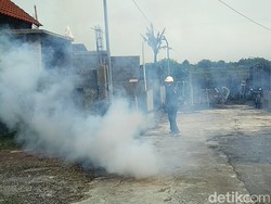 Siklus Tiga Tahunan, Demam Berdarah di Blitar Diprediksi Meningkat
