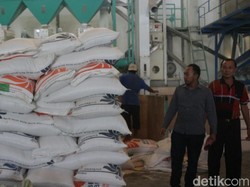 Harga Beras di Pasar Bondowoso Terus Merangkak Naik