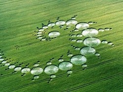 Karya Seni Cantik di Atas Sawah hingga Hobi Kulineran Rio Dewanto