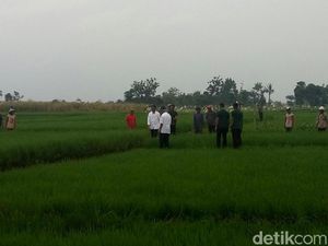 Program Kerja Bayar Tunai Ala Pemerintahan Jokowi Program Kerja Bayar Tunai Ala Pemerintahan Jokowi