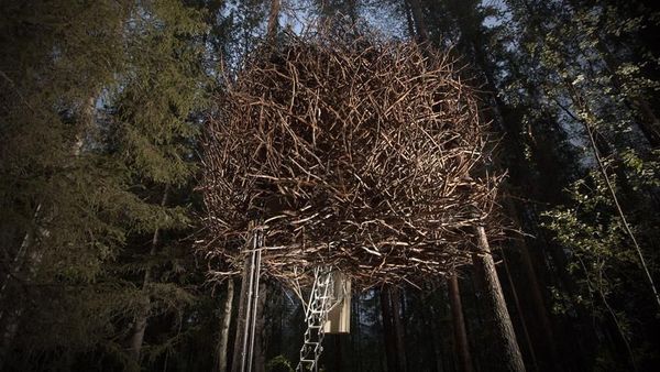 Foto: Kamar Hotel Bentuknya Sarang Burung