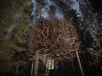Foto: Kamar Hotel Bentuknya Sarang Burung