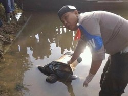 Penipu di Riau: Dikejar Warga, Lompat dari Jembatan, Tewas Tenggelam