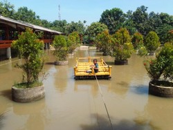 Mau Wisata Kuliner Sambil Bermain dan Memancing? Ke Sini Saja