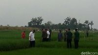 Foto: Sigapnya Jokowi Pegangi Ganjar yang Jatuh di Sawah