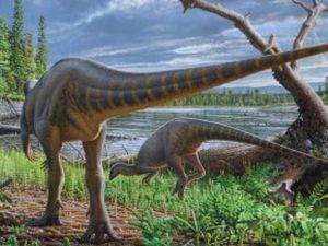Temuan Dinosaurus Baru Seukuran Kalkun dari Australia