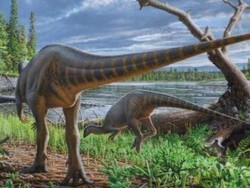 Temuan Dinosaurus Baru Seukuran Kalkun dari Australia
