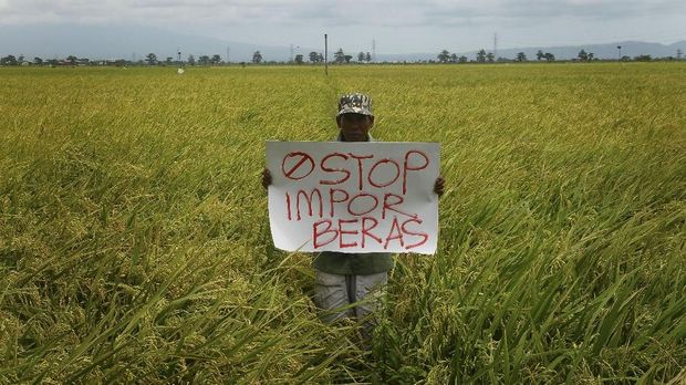 BPK Beberkan 'Salah Urus' Impor Pangan Era Jokowi