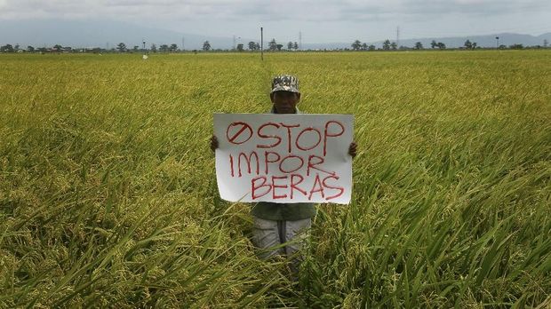 Menebus Dosa Atas Kekeliruan Data Beras