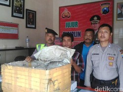 Pura-pura Cari Rumput, Pemuda Ini Kepegok Curi 5 Ayam Bangkok