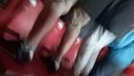 Foto: Aksi Penonton Bandel Injak Kursi Baru GBK