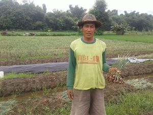 Ini yang Dilakukan Petani Ponorogo Saat Harga Bawang Anjlok