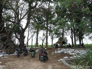 Warga Jombang Temukan Struktur Bata Kuno Peninggalan Majapahit