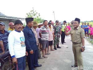 Petani: Ini Hampir Panen, Kok Pemerintah Malah Impor Beras?