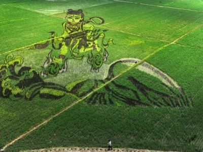 Keren! 10 Karya Seni yang Cantik Ini Dibuat di Atas Hamparan Sawah
