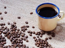 Lebih Dulu Dimakan Luwak, Bagaimana Rasa Biji Kopi yang Dijual Mahal Ini?