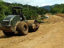 Jokowi Bikin Padat Karya Cash, Ini Kata IMF