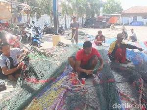 Merasa Diizinkan Presiden, Nelayan Cantrang Tegal Segera Melaut Lagi