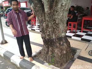 Guiding Block di Trenggalek Tabrak Pohon, Ini Kata Bupati Emil