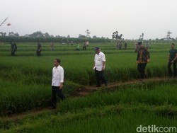 Jokowi Ingin Warga Dibayar Per Hari di  Program Padat Karya Cash