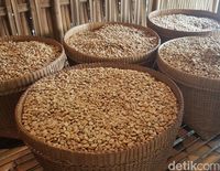 Bali Pulina : Napak Tilas Perjalanan Secangkir Kopi Luwak yang Kini Populer