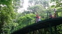 Bandung Punya Forest Walk Terpanjang di ASEAN
